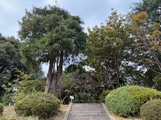 別府市　学習塾RainBow　塾長ウォーキング10000km！　1301日目結果　花き研究指導センター　地獄地帯公園　【別府　塾　個別指導　高校入試　大学入試　新規生募集中】
