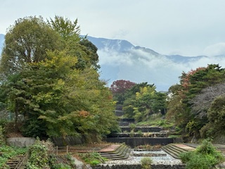 別府市 学習塾RainBow 塾長ウォーキング10000km! 1303日目結果! 塾周辺 【別府 塾 個別指導 高校入試 大学入試 新規生募集中】