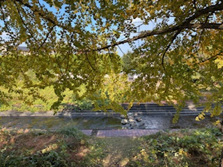 別府市 学習塾RainBow 塾長ウォーキング10000km! 1315日目結果! 塾周辺 高1Wさんどうもありがとう【別府 塾 個別指導 高校入試 大学入試 新規生募集中