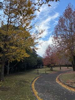 別府市　学習塾RainBow　塾長ウォーキング10000km！　1316日目結果！　南立石公園　【別府　塾　個別指導　高校入試　大学入試　新規生募集中】