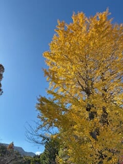 別府市　学習塾RainBow　塾長ウォーキング10000km！　1318日目結果！　塾周辺　【別府　塾　個別指導　高校入試　大学入試　新規生募集中】