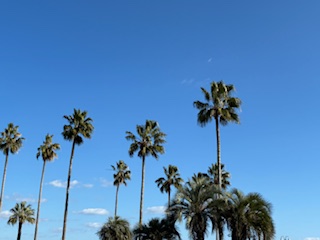 別府市　学習塾RainBow　塾長ウォーキング10000km！　1329日目結果！　上人ヶ浜　【別府　塾　個別指導　高校入試　大学入試　新規生募集中】　