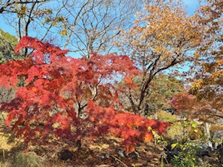 別府市 学習塾RainBow 塾長ウォーキング10000km! 1330日目結果! 南立石公園 【別府 塾 個別指導 高校入試 大学入試 新規生募集中】