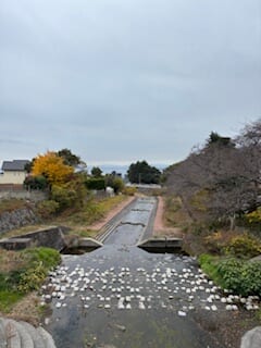 別府市 学習塾RainBow 塾長ウォーキング10000km! 1333日目結果! いたちがわ~境川 【別府 塾 個別指導 高校入試 大学入試 冬期講座 新規生募集中】