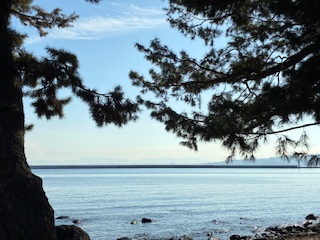 別府市　学習塾RainBow　塾長ウォーキング10000km！　1339日目結果！　上人ヶ浜　【別府　塾　個別指導　高校入試　大学入試　新規生募集中】