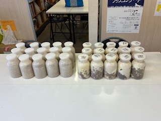 別府市　学習塾RainBow　飼育室　3日連続の菌糸ボトル交換　【別府　塾　クワガタ飼育　クワガタ販売　オオクワランド】