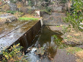 別府市　学習塾RainBow　塾長ウォーキング10000km！　1345日目結果！　塾周辺　高３Aさんどうもありがとう！　中３A君どうもありがとう！　【別府　塾　個別指導　高校入試　大学入試　新規生募集中】