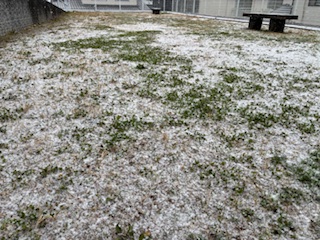 別府市　学習塾RainBow　塾長ウォーキング10000km！　1353日目結果！　夕方の自宅周辺　【別府　塾　個別指導　高校入試　大学入試　新規生募集中】