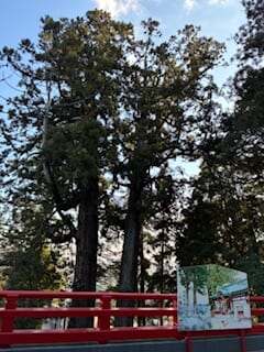 別府市　学習塾RainBow　塾長ウォーキング10000km！　1357日目結果！　朝見神社　【別府　塾　個別指導　高校入試　大学入試　新規生募集中】