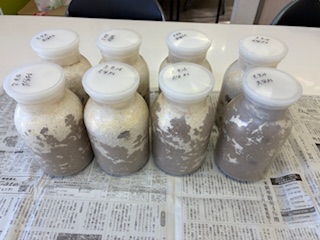 別府市　学習塾RainBow　飼育室　大分産オオクワガタ　【別府　塾　個別指導　クワガタ　クワガタ飼育　クワガタ販売　オオクワガタ　オオクワランド】