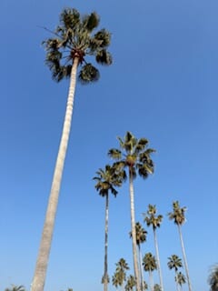 別府市　学習塾RainBow　塾長ウォーキング10000km！　1370日目結果！　上人ヶ浜公園　【別府　塾　個別指導　高校入試　大学入試　新規生募集中】