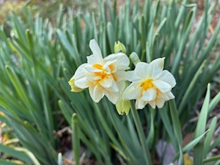 別府市　学習塾RainBow　塾長ウォーキング10000km！　1371日目結果！　塾周辺　【別府　塾　個別指導　高校入試　大学入試　新規生募集中】