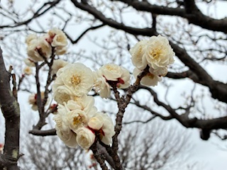 別府市　学習塾RainBow　塾長ウォーキング10000km！　1372日目結果！　南立石公園　【別府　塾　個別指導　高校入試　大学入試　新規生募集中】