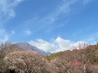 別府市 学習塾RainBow 塾長ウォーキング10000km! 1379日目結果! 南立石公園 【別府 塾 個別指導 高校入試 大学入試 新規生募集中】