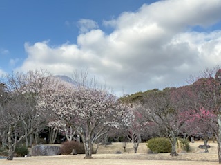 別府市 学習塾RainBow 塾長ウォーキング10000km! 1380日目結果! 南立石公園 高3Sさん!どうもありがとう! 【別府 塾 個別指導 高校入試 大学入試 新規生募集中】