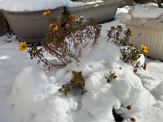 別府市　学習塾RainBow　塾長ウォーキング10000km！　1390日目結果！　自宅周辺　【別府　塾　個別指導　高校入試　大学入試　新規生募集中】