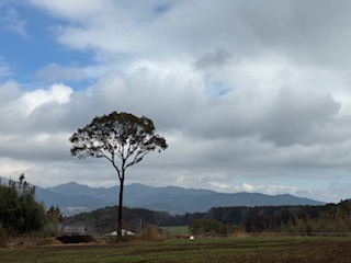 別府市 学習塾RainBow 塾長ウォーキング10000km! 1397日目結果! 2.15 じいちゃんち 【別府 塾 個別指導 高校入試 大学入試 春期講座 新規生募集中】