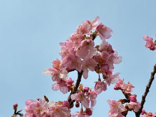 別府市　学習塾RainBow　塾長ウォーキング10000km！　1398日目結果！　南立石公園　【別府　塾　個別指導　高校入試　大学入試　新規生募集中】