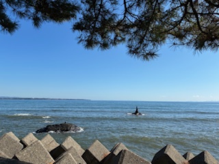 別府市　学習塾RainBow　塾長ウォーキング10000km！　1399日目結果！　上人ヶ浜