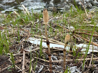 別府市　学習塾RainBow　塾長ウォーキング10000km！　1408日目結果！　塾周辺　高２Yさん！どうもありがとう！　【別府　塾　個別指導　高校入試　大学入試　春期講座　新規生募集中】
