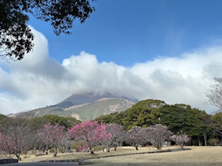 別府市 学習塾RainBow 塾長ウォーキング10000km! 1414日目結果! 南立石公園 【別府 塾 個別指導 高校入試 大学入試 春期講座 新規生募集中】