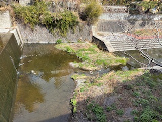別府市　学習塾RainBow　塾長ウォーキング10000km！　1415日目結果！　塾周辺　【別府　塾　個別指導　高校入試　大学入試　春期講座　新規生募集中】
