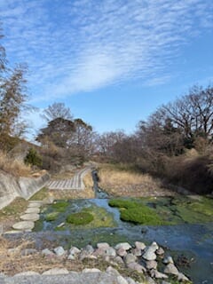 別府市 学習塾RainBow 塾長ウォーキング10000km! 1425日目結果! 3.15 境川 【別府 塾 個別指導 高校入試 大学入試 春期講座 新規生募集中】