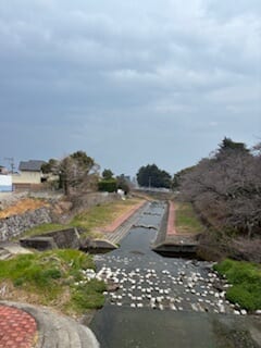別府市　学習塾RainBow　塾長ウォーキング10000km！　1428日目結果！　いたちがわ　高３Eさん！どうもありがとう！　【別府　塾　個別指導　高校入試　大学入試　春期講座　新規生募集中】
