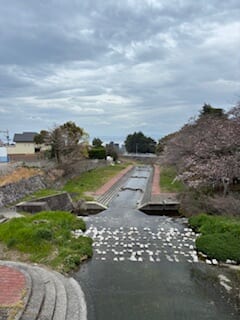 別府市　学習塾RainBow　塾長ウォーキング10000km！　1440日目結果！　塾周辺　【別府　塾　個別指導　高校入試　大学入試　新規生募集中】