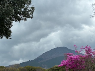 別府市　学習塾RainBow　塾長ウォーキング10000km！　1441日目結果！　南立石公園　【別府　塾　個別指導　高校入試　大学入試　桜　ソメイヨシノ　新規生募集中】