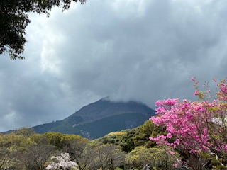 別府市 学習塾RainBow 塾長ウォーキング10000km! 1445日目結果! 南立石公園 【別府 塾 個別指導 高校入試 大学入試 新規生募集中】