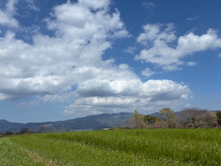 別府市　学習塾RainBow　塾長ウォーキング10000km！　1446日目結果！　4.5　じいちゃんち　【別府　塾　個別指導　高校入試　大学入試　新規生募集中】