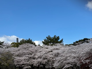 別府市 学習塾RainBow 塾長ウォーキング10000km! 1448日目結果! 別府公園 春木川 アルバイトY君!どうもありがとう! 【別府 塾 個別指導 高校入試 大学入試 新規生募集中】