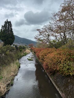 別府市　学習塾RainBow　塾長ウォーキング10000km！　1454日目結果！　湯布院　【別府　塾　個別指導　高校入試　大学入試　新規生募集中】