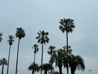 別府市　学習塾RainBow　塾長ウォーキング10000km！　1456日目結果　上人ヶ浜　【別府　塾　個別指導　高校入試　大学入試　新規生募集中】