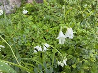 別府市　学習塾RainBow　塾長ウォーキング10000km！　1459日目結果！　塾周辺　【別府　塾　個別指導　高校入試　大学入試　新規生募集中】