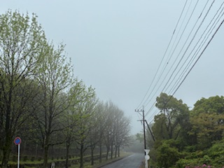 別府市　学習塾RainBow　塾長ウォーキング10000km！　1460日目結果！　4.19　雨の自宅周辺　【別府　塾　個別指導　高校入試　大学入試　新規生募集中】