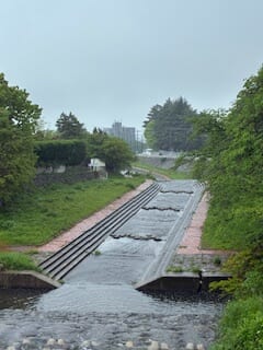 別府市　学習塾RainBow　塾長ウォーキング10000km！　1465日目結果！　塾周辺　【別府　塾　個別指導　高校入試　大学入試　新規生募集中】
