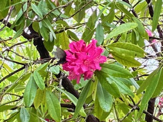 別府市　学習塾RainBow　塾長ウォーキング10000km！　1467日目結果！　4.26　国東探訪＃１　【別府　塾　個別指導　高校入試　大学入試　新規生募集中】