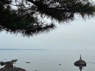 別府市　学習塾RainBow　塾長ウォーキング10000km！　1469日目結果！　上人ヶ浜　【別府　塾　個別指導　高校入試　大学入試　新規生募集中】