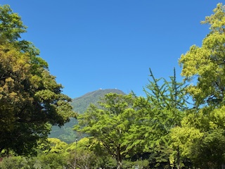 別府市　学習塾RainBow　塾長ウォーキング10000km！　1476日目結果！　南立石公園　【別府　塾　個別指導　高校入試　大学入試　新規生募集中】
