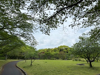 別府市　学習塾RainBow　塾長ウォーキング10000km！　1479日目結果！　南立石公園　【別府　塾　個別指導　高校入試　大学入試　新規生募集中】