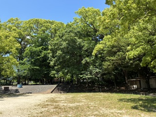 別府市 学習塾RainBow 塾長ウォーキング10000km! 1485日目結果! 野口天満神社 【別府 塾 個別指導 高校入試 大学入試 新規生募集中】