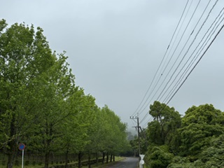 別府市　学習塾RainBow　塾長ウォーキング10000km！　1491日目結果！　自宅周辺　【別府　塾　個別指導　高校入試　大学入試　新規生募集中】