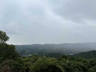 別府市 学習塾RainBow 塾長ウォーキング10000km! 1510日目結果! 杵築 横岳自然公園 子ジカ見たよ!