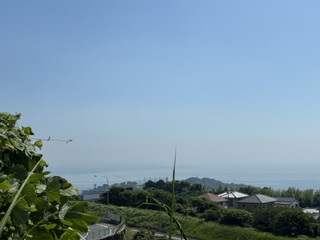 別府市 個別指導 学習塾RainBow 塾長ウォーキング10000km! 1546日目結果! 自宅周辺~境川