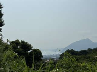 別府市 個別指導 学習塾RainBow 塾長ウォーキング10000km! 1555日目結果! 自宅周辺~境川