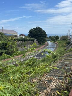 別府市　個別指導　学習塾RainBow　塾長ウォーキング10000km！　1609日目結果！　塾周辺