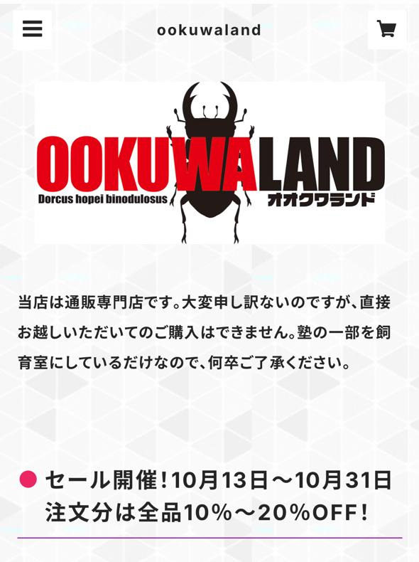 別府市　学習塾RainBow　クワガタ事業部　オオクワランド　10月セールのお知らせ
