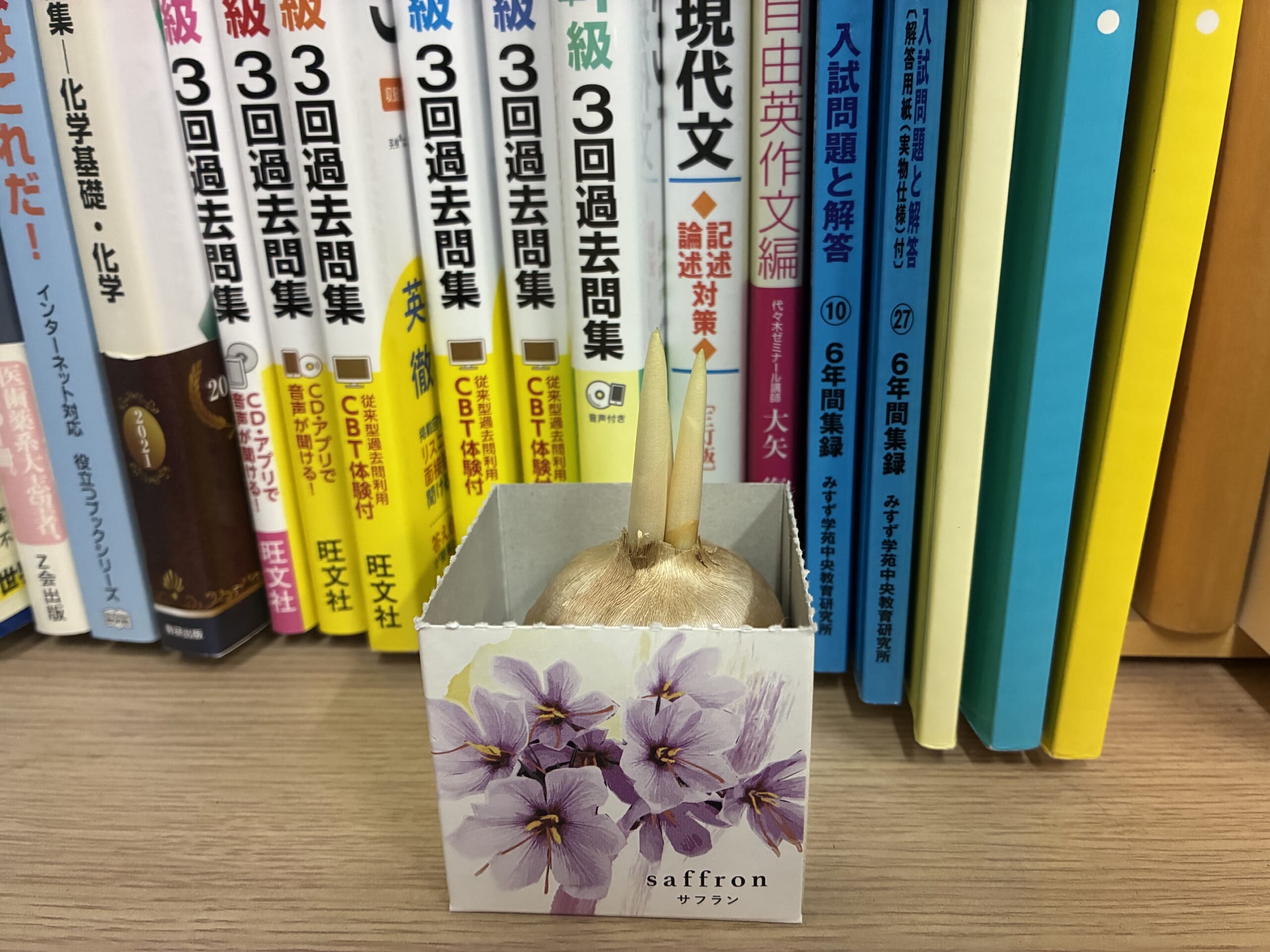 別府市　個別指導　学習塾RainBow　サフラン